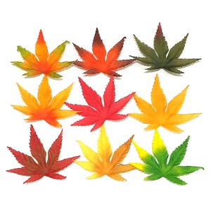 가을 단풍잎(9cm-50장)