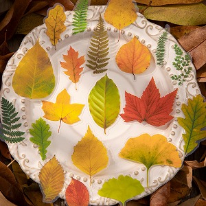 사계절 나뭇잎 스티커(100매)