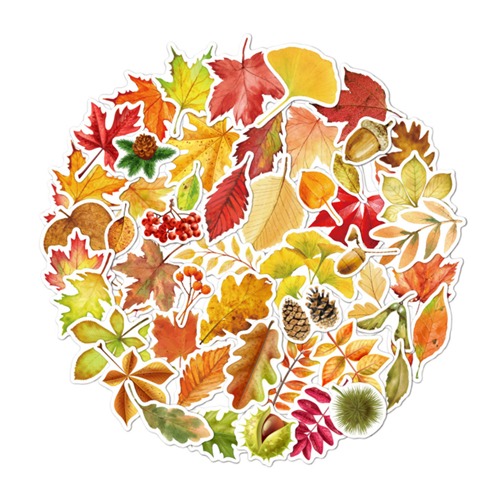 가을 데코 방수 스티커(5종 택1)